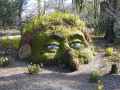 Image: The lost gardens of Heligan