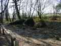 Image: The lost gardens of Heligan