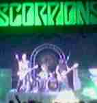 Scorpions photo