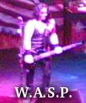 W.A.S.P. photo