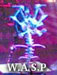 W.A.S.P. photo