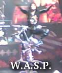 W.A.S.P. photo