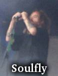 Soulfly photo