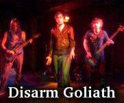 Disarm Goliath photo