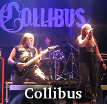 Collibus photo