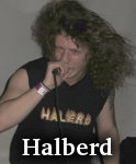 Halberd photo