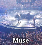 Muse photo