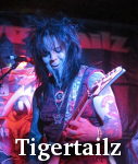 Tigertailz photo