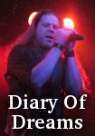 Diary Of Dreams photo