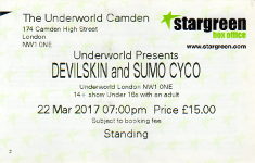 Devilskin ticket