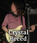 Crystal Breed photo