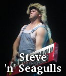 Steve 'n' Seagulls photo