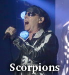 Scorpions photo