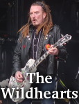 The Wildhearts photo