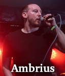 Ambrius photo