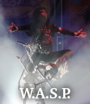 WASP photo