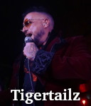 Tigertailz photo