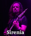 Sirenia photo