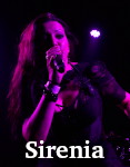 Sirenia photo